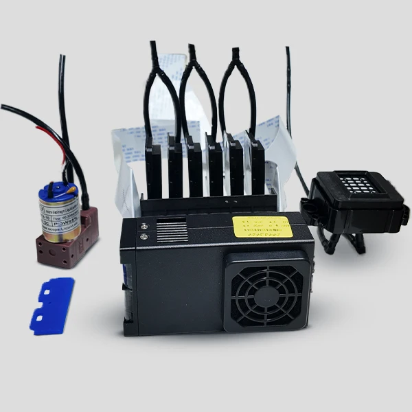 Kit de Verniz Insinis